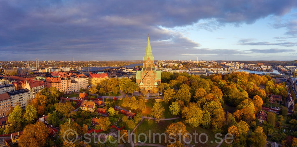 146612 - Höst i Vitabergsparken