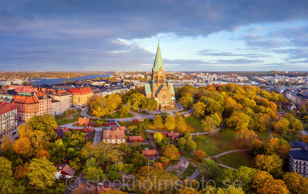 146613 - Höst i Vitabergsparken