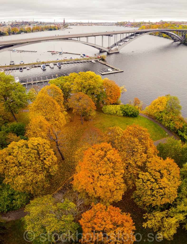 146620 - Höstfärger vid Västerbron