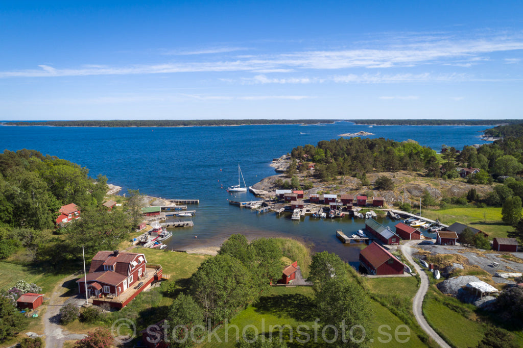 146707 - Ramsmora på Möja