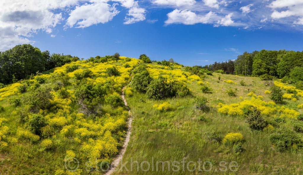 146741 - Högdalstoppen