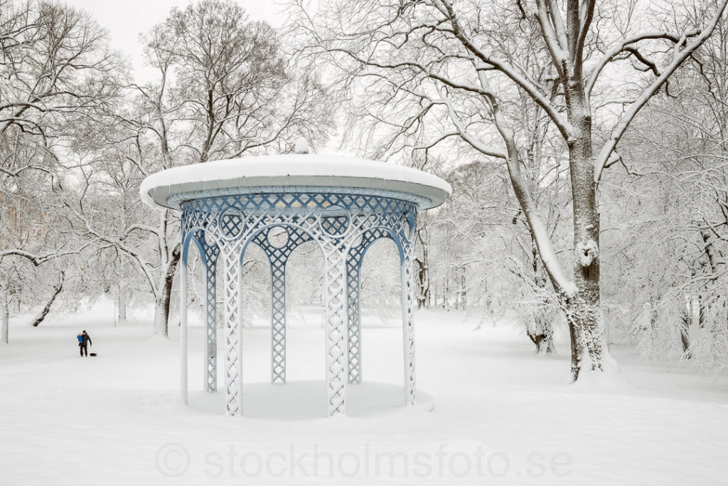 146885 - Vinter i Humlegården