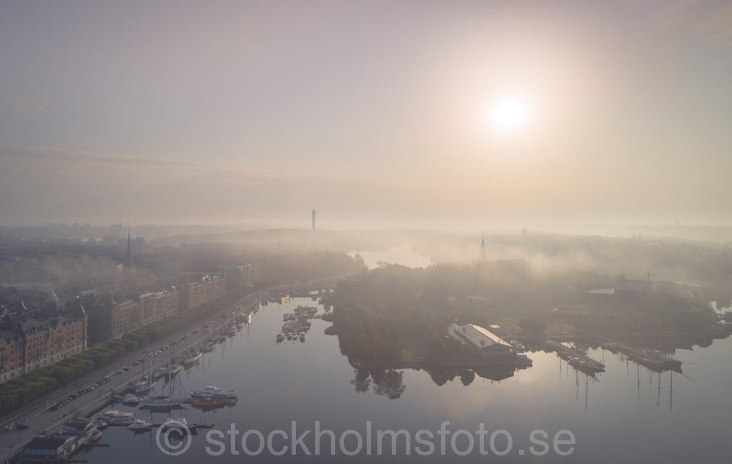 146970 - Dimma över Djurgården