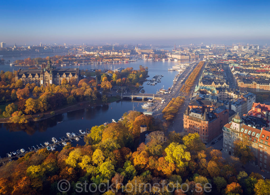 146983 - Höst i Nobelparken