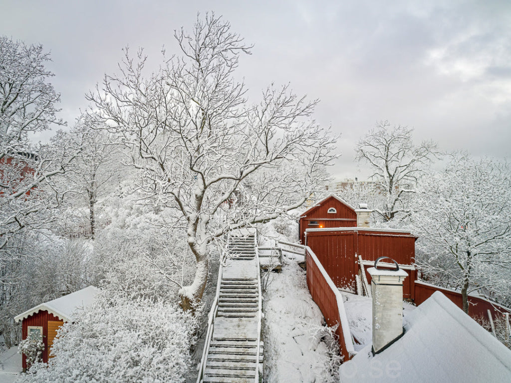 146991 - Kvastmakartrappan