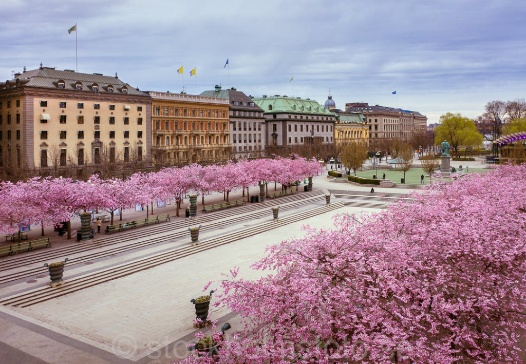 147018 - Kungsträdgården