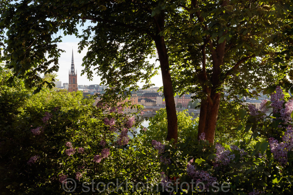 147039 - Kyrkan i gläntan