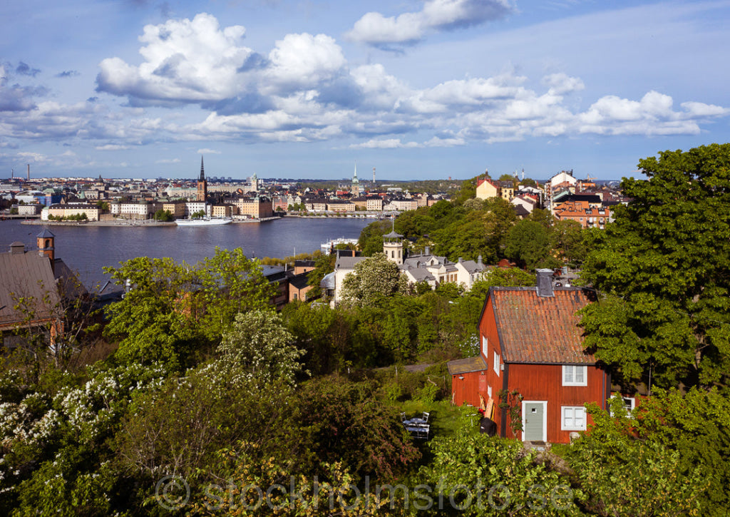 147041 - Ensamma huset