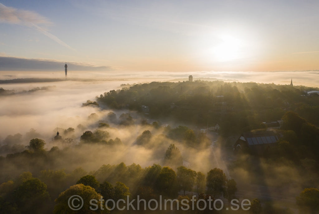 147228 - Dimma över Djurgården