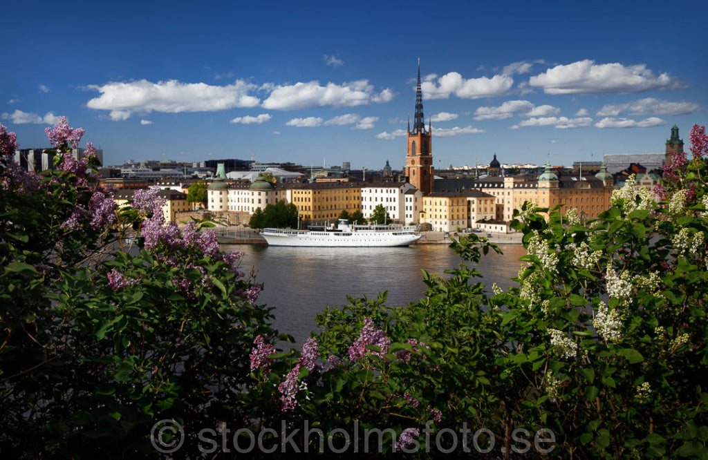 147296 - Syrener och Riddarholmen