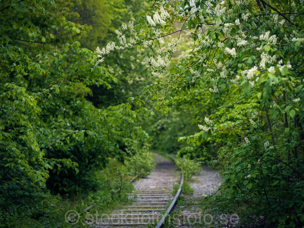 147389 - Järnvägen vid Erikdsal