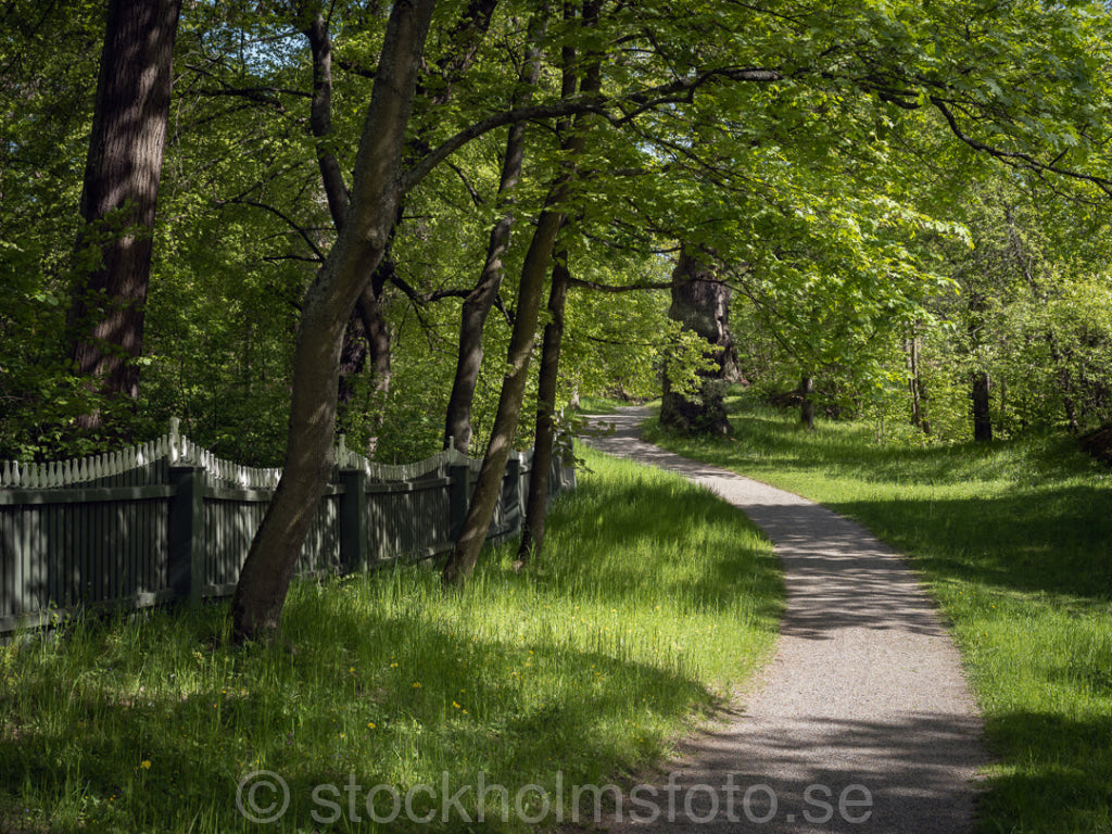 147399 - Vid Waldemarsudde