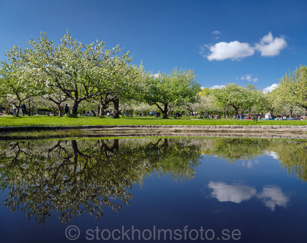 147400 - Vår vid Rosendal