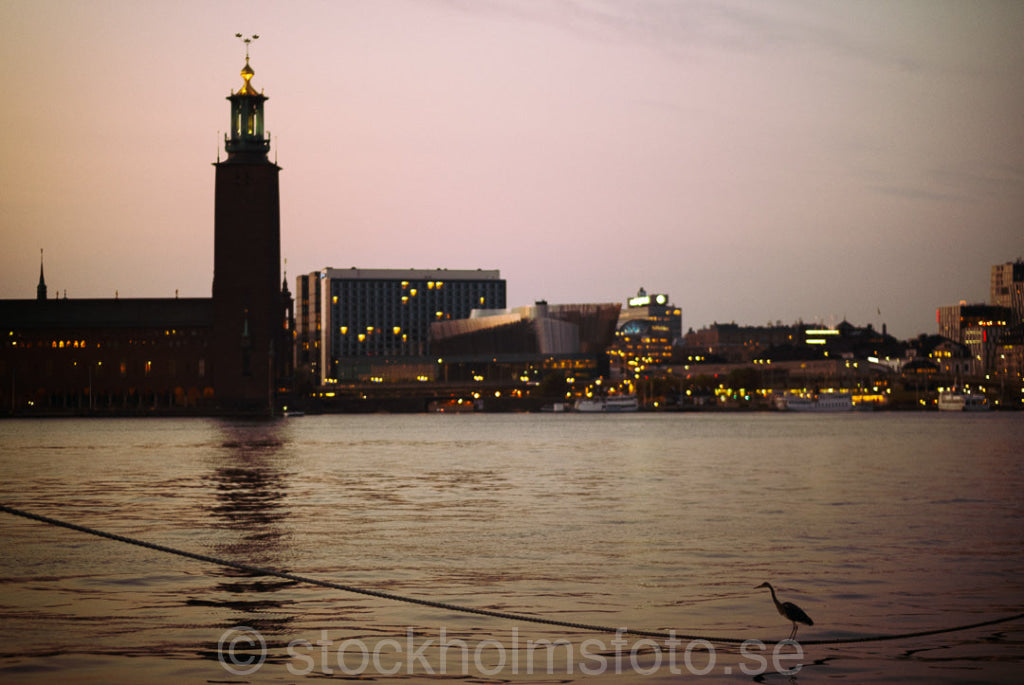 147433 - Häger och Stadshuset