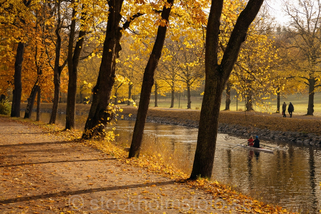 147444 - Höst vid Djurgårdsbrunn