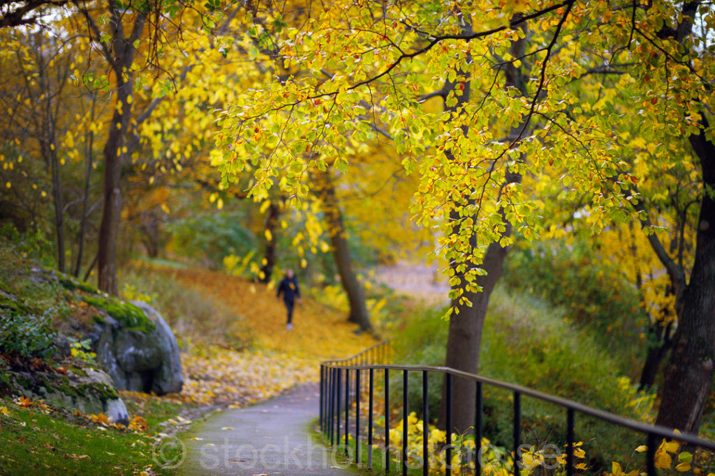 147452 - Gångväg vid Söder mälarstrand