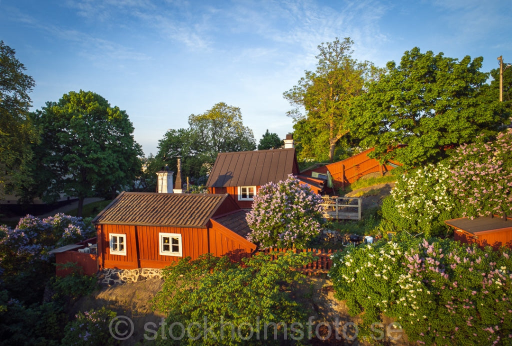 147488 - Vid Kvastmakartrappan Small 1080Px