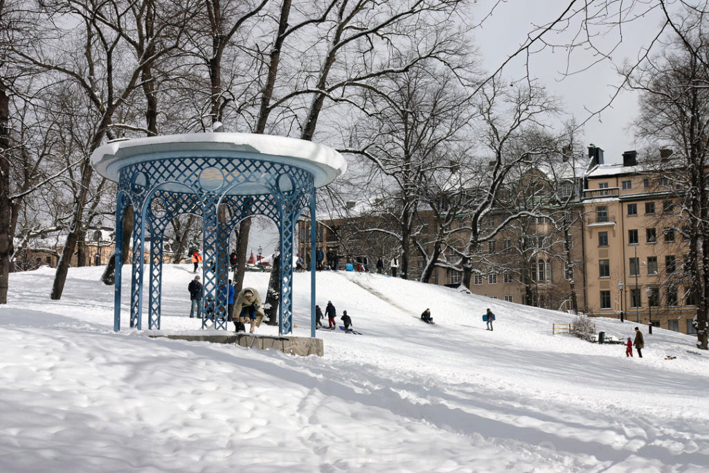 102506 - Vinter i Humlegården