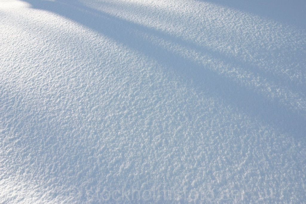 102508 - Skuggspel i snö