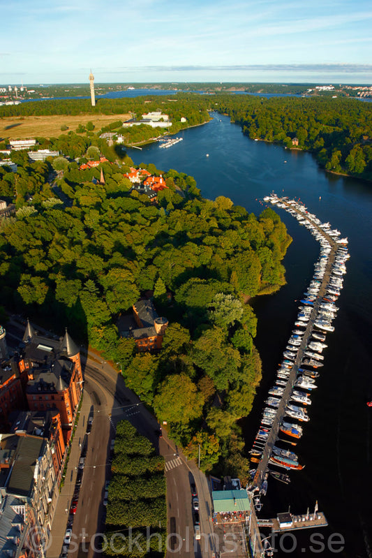 106217 - Nobelparken vid Djurgårdsbrunnsviken