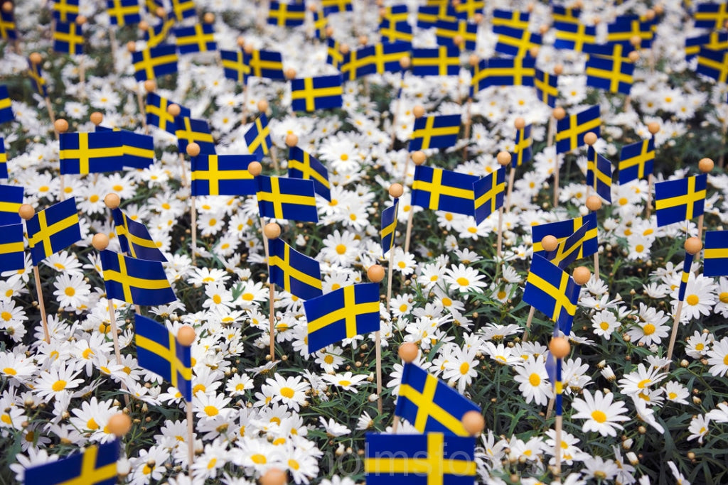 116050 - Svenska flaggor