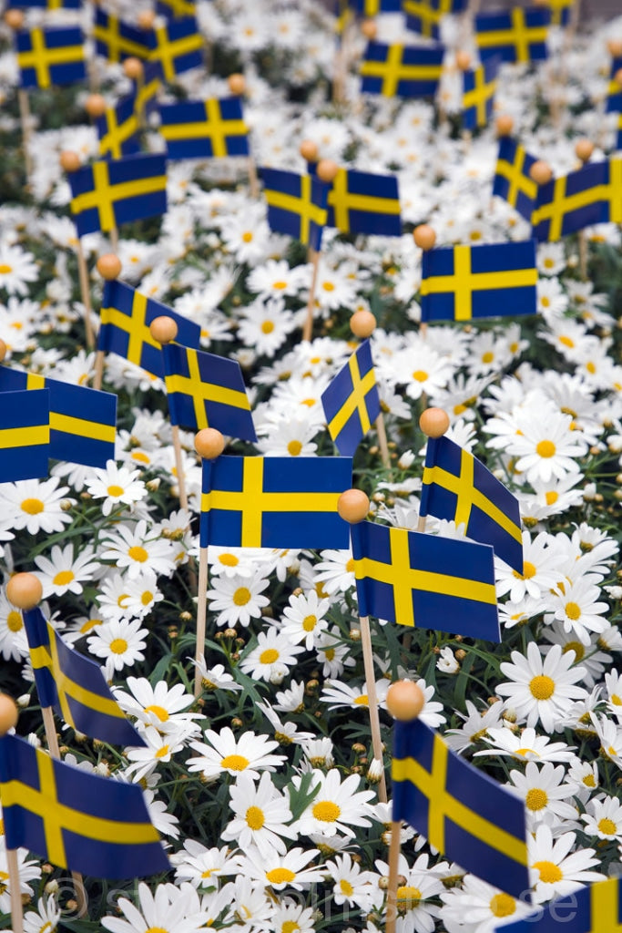116051 - Svenska flaggor