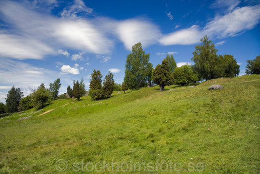 116060 - Gravkullar på Birka