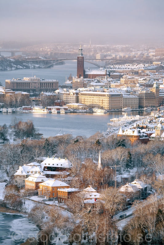 121555 - Vy över Stockholm