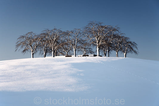 121566 - Skogskyrkogårdens minneslund