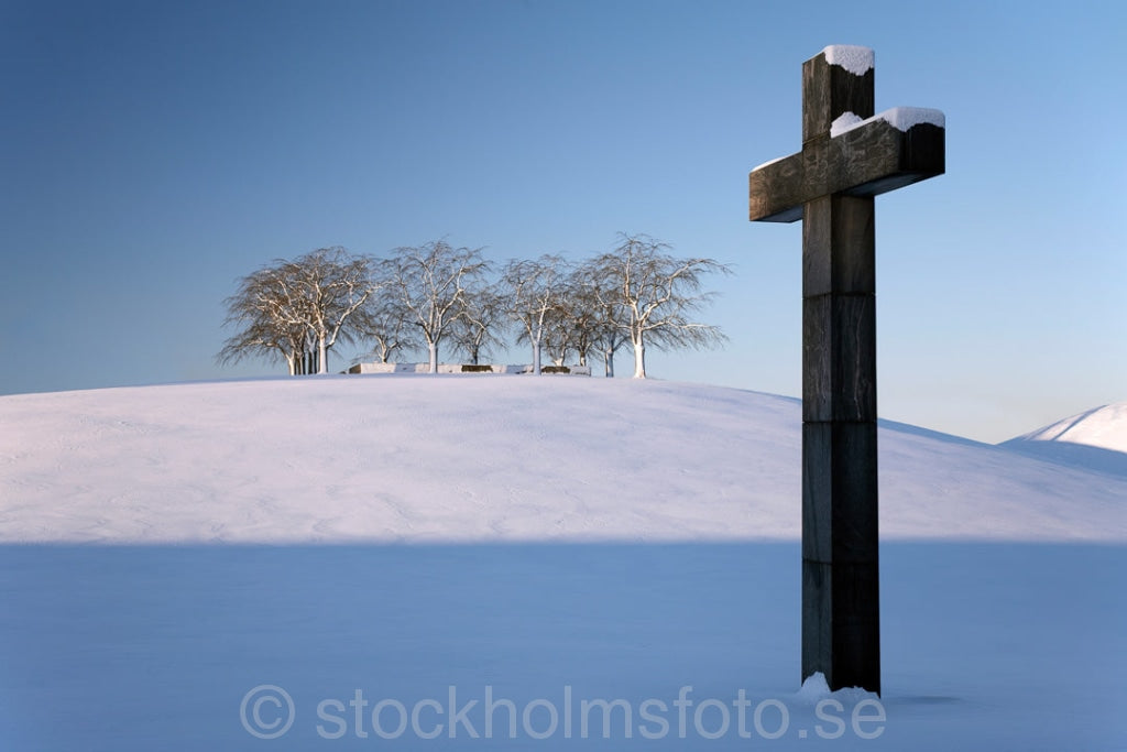 121567 - Skogskyrkogårdens minneslund och kors