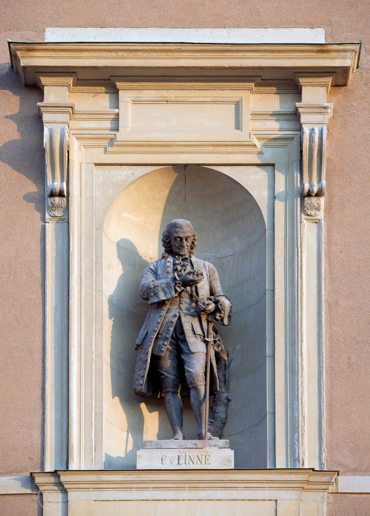 122302 - Carl von Linné