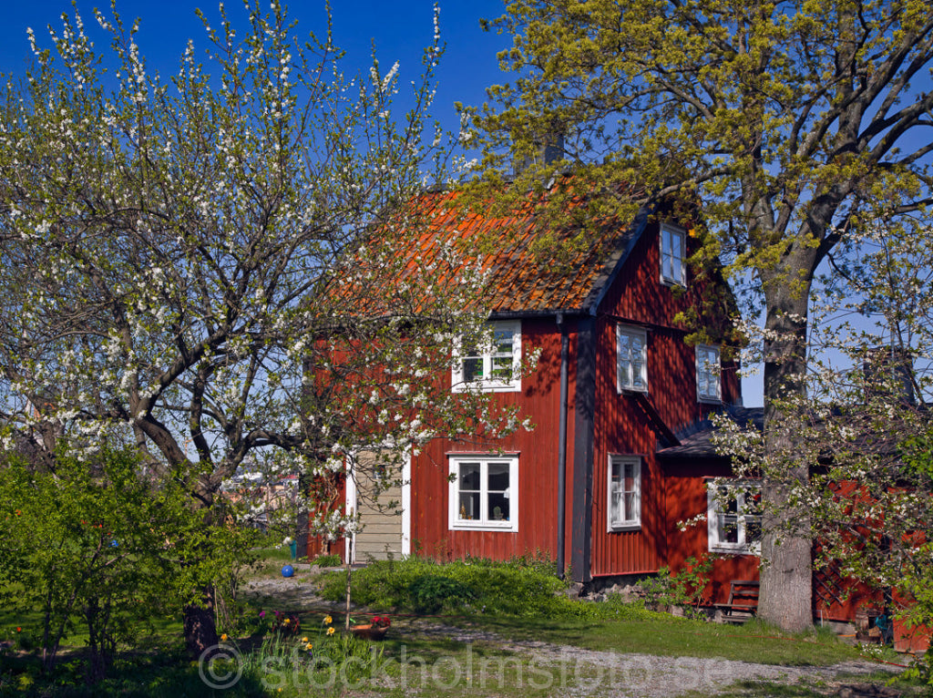 124412 - Ensamma huset