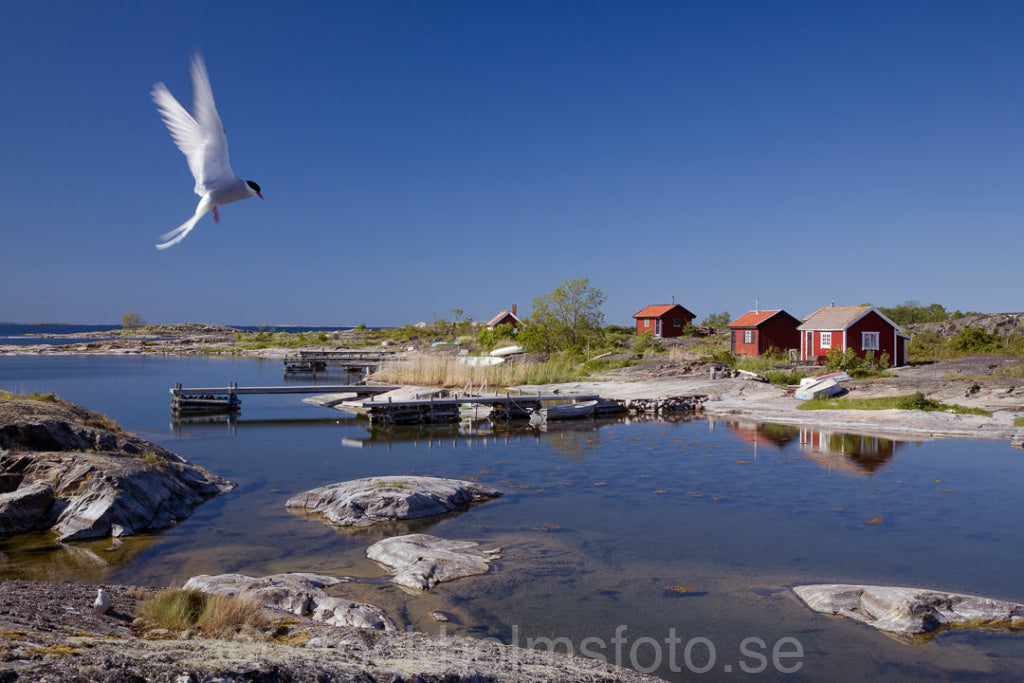 124421 - Stora Vånskär vid Utfredel