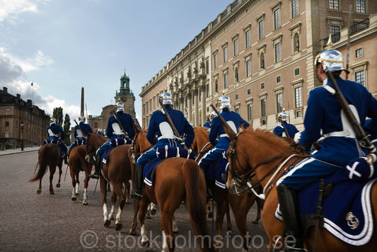 124448 - Beridna högvakten