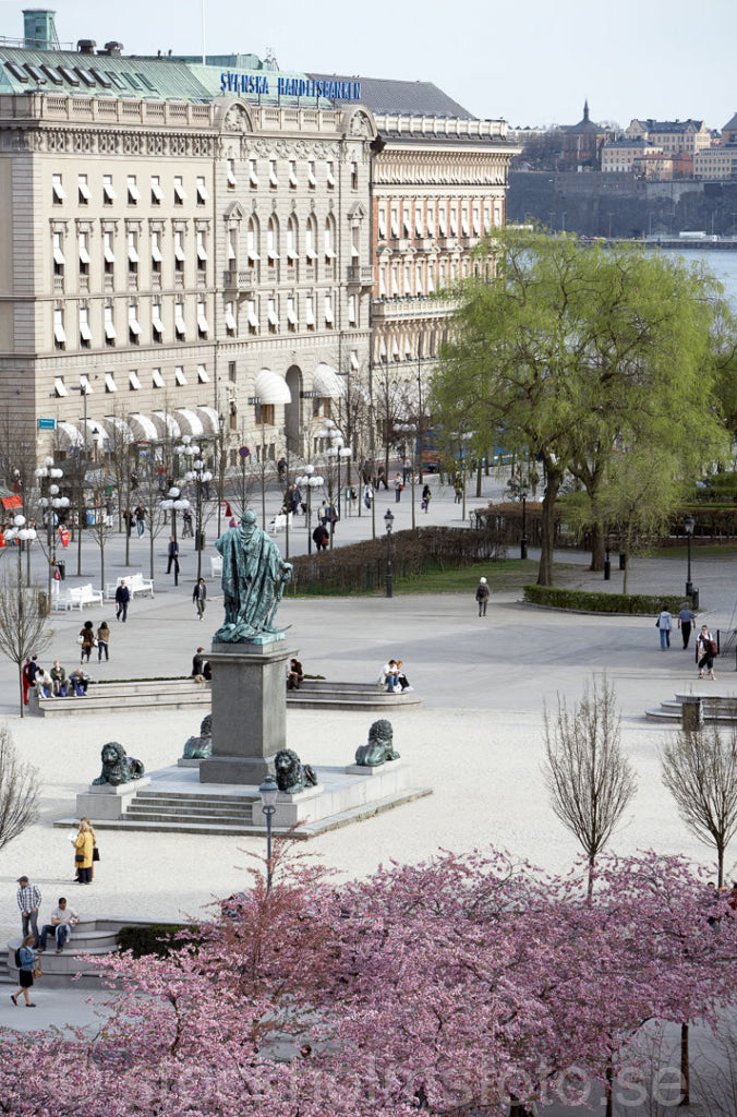 125259 - Kungsträdgården