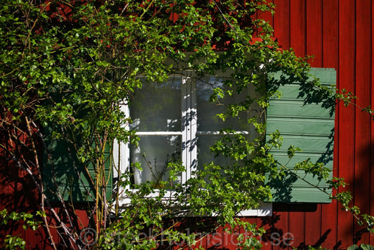 125299 - Fönster på Söderkåk