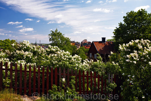 125490 - Vid Skinnarviksberget