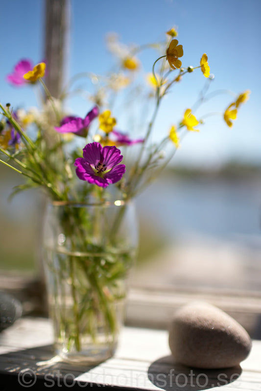 125498 - Vas med skärgårdsblommor