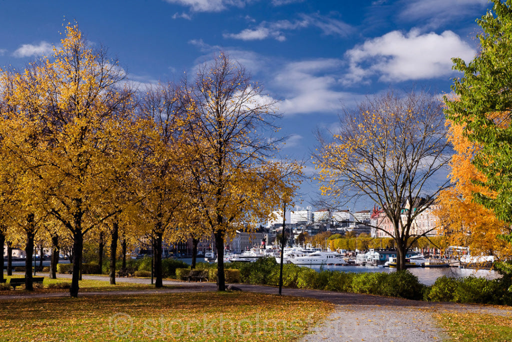 126062 - Galärparken