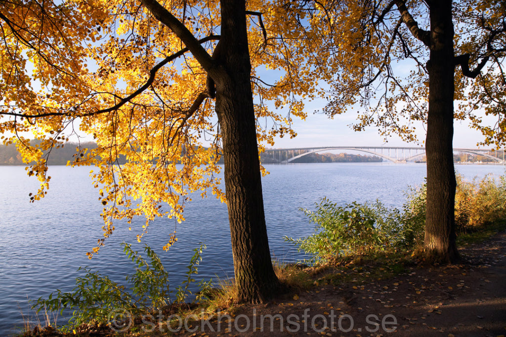 126064 - Norr mälarstrand och Västerbron