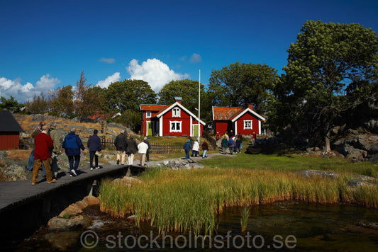 129319 - Bullerö