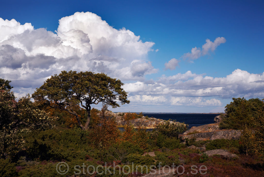 129321 - Bullerö