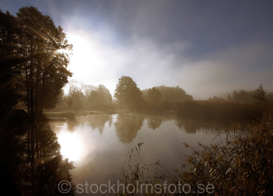 129324 - Stilla sjö i morgondimma