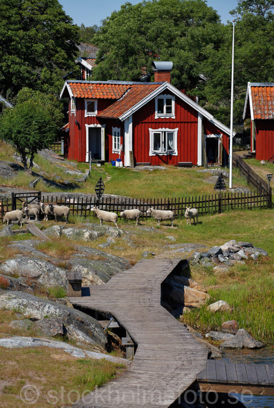 130033 - Bullerö