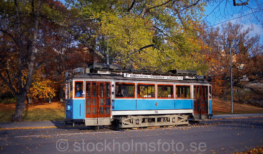 134603 - Spårvagn på Djurgården