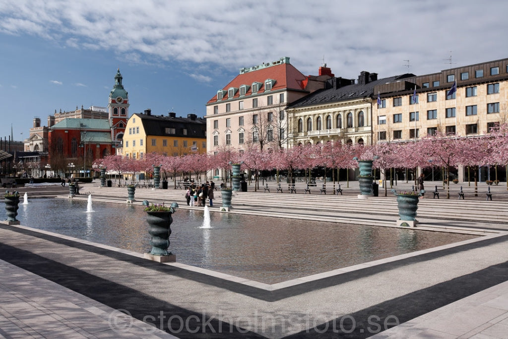 135351 - Kungsträdgården