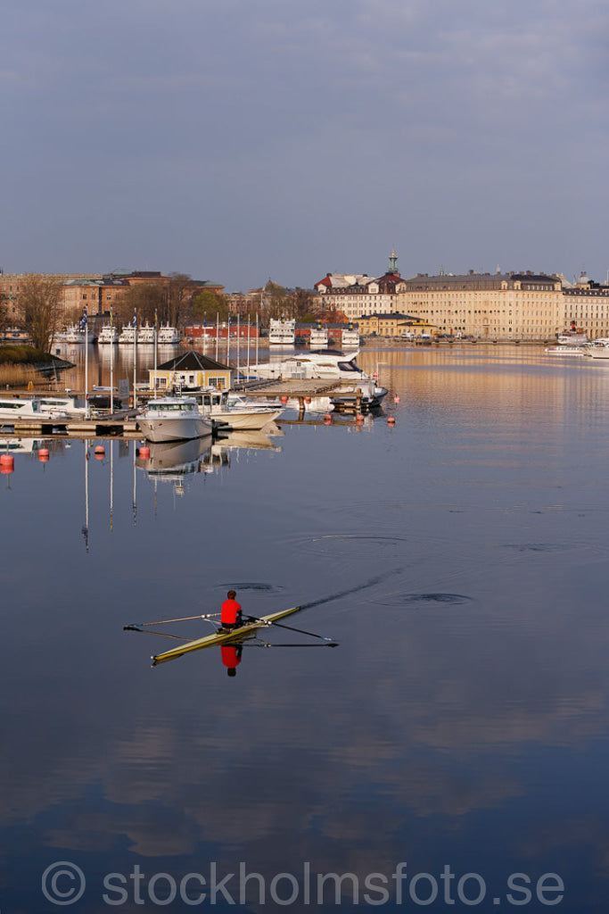 135360 - Roddare i Nybroviken