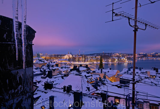 136109 - Utsikt över takåsarna i Gamla Stan