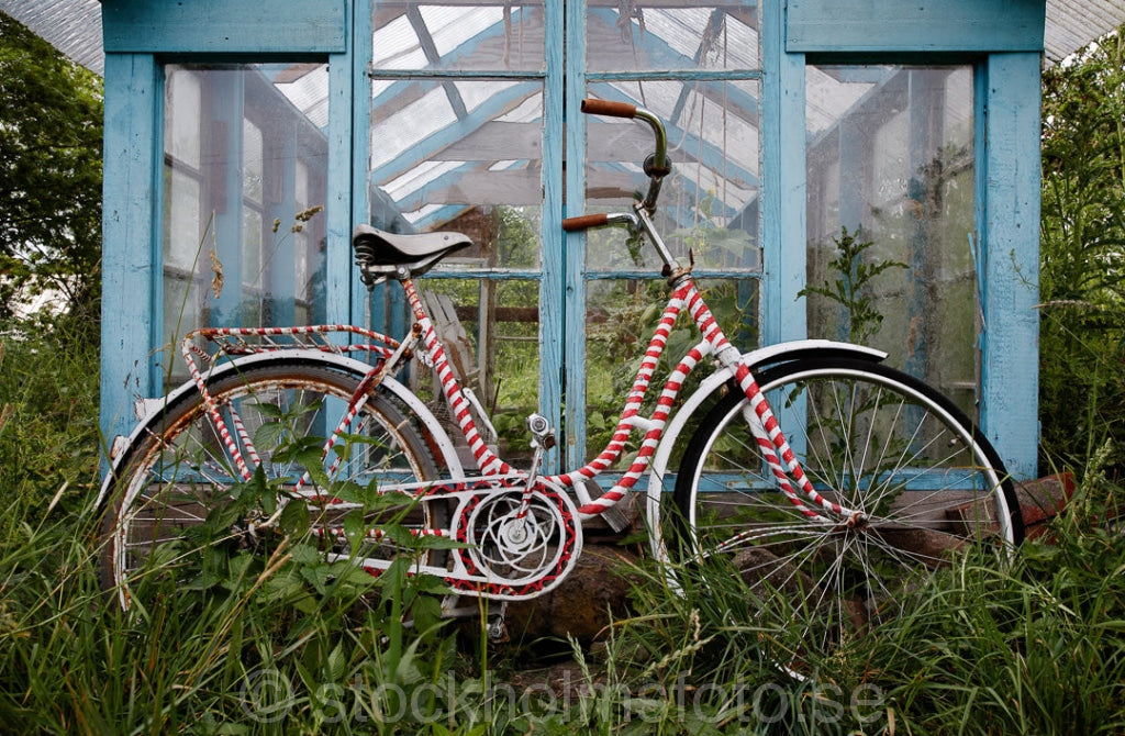 137253 - Cykel vid växthus