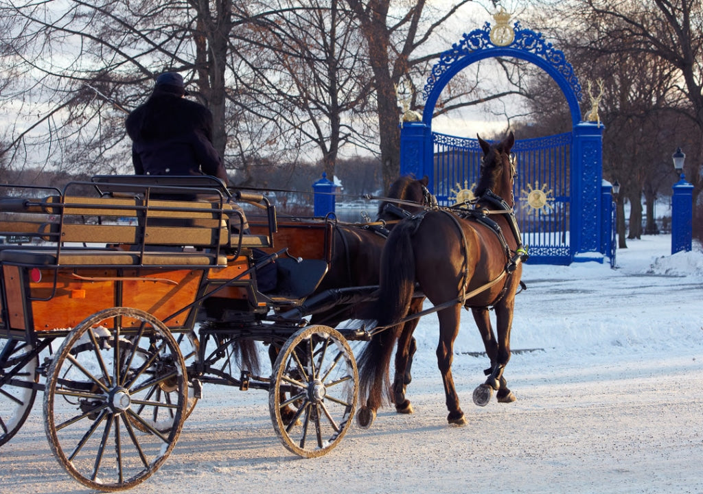 143334 - Häst och vagn vid Blå porten